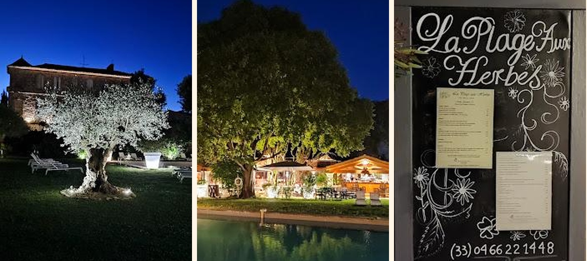 La Plage aux Herbes - Gallery Image 4